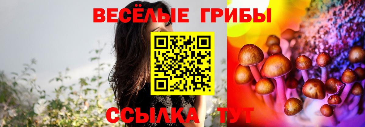Псилоцибиновые грибы GOLDEN TEACHER Урай